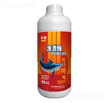 �O��ø-�n�ԣ��tƿ��-����