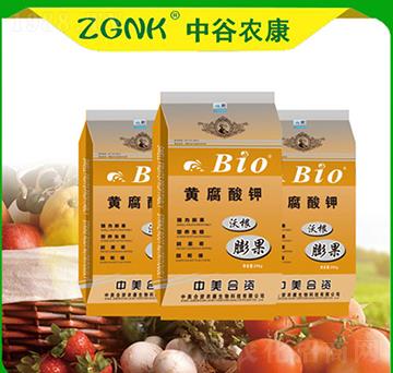 �ָ�����S�����-�й��r(n��ng)��