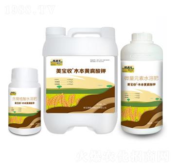 ľ���S�����-������-�M(m��n)������