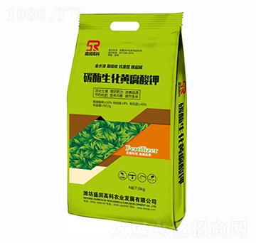 ̼ø�����S�����-ʢ��(r��n)�߿�