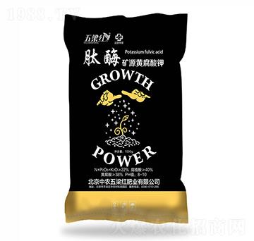 ��ø�VԴ�S�����-�����t