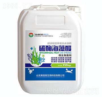 ̼ø������-ʩ�۸�