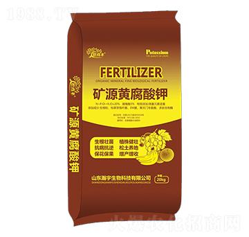 �VԴ�S�����-�������