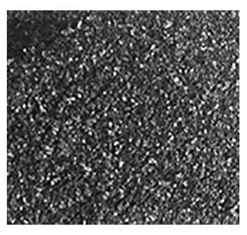 ��ֲ�ḯ�-��?yu��n)W�Ƽ�