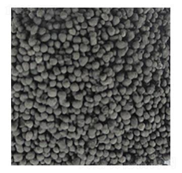 ��ֲ���V-��?yu��n)W�Ƽ�