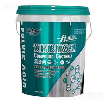 �S������Ч�͏�(f��)�Ͼ�-�ַ�ɭ-���������