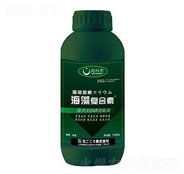 �����(f��)����-������