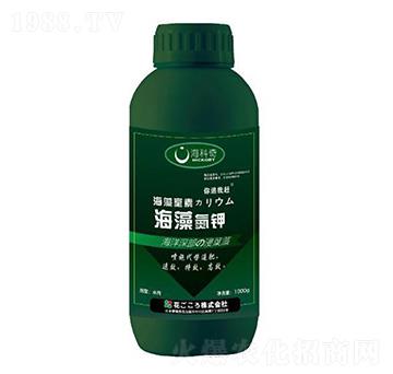 ���嵪�-������