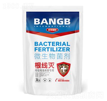 ���Y(ji��)���x��������΢�������-������-���(gu��)�H