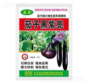 ���������ɫ�I�B(y��ng)�{�턩-���Ӻ�����-ʢ��-ʥ��ʘI(y��)