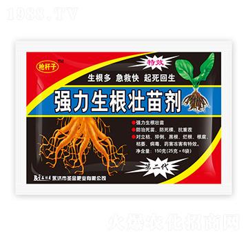 �����������焩-���U��-ʥ��ʘI(y��)