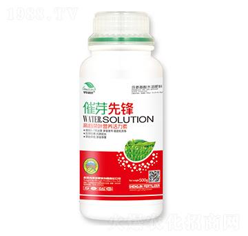 �߶˲��~�I(y��ng)�B(y��ng)������-��ѿ���h-��|ֲ��-ʥ��ʘI(y��)