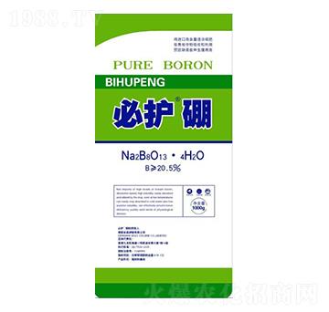 ���o��-����������