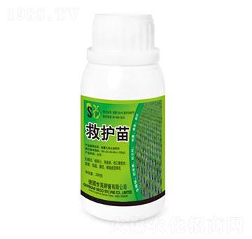 ���o��-����������