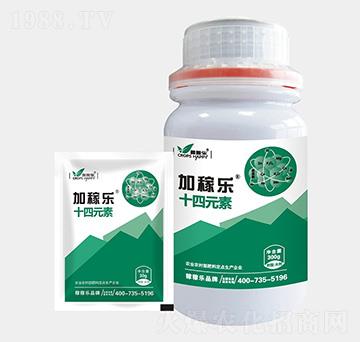 ʮ��Ԫ��-�Ӽژ�-�ڼژ�