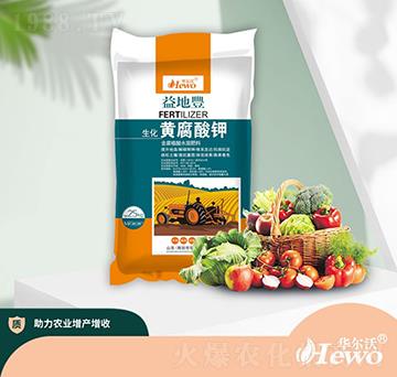 �����S�����-�A����