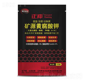 1kg�VԴ�S�����-11-5-35-���_-���r�挚