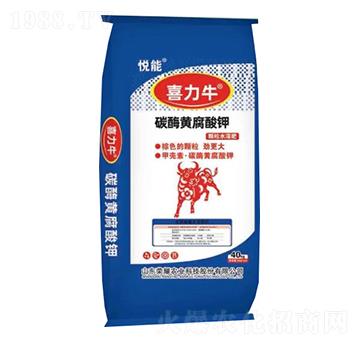 ̼ø�S�����-ϲ��ţ-�sҫ�r�I(y��)