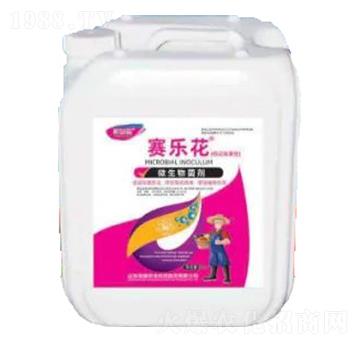 ِ��(l��)��-΢�������-�sҫ�r(n��ng)�I(y��)