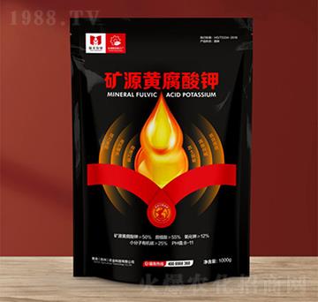 �VԴ�S�����-ِ���r�I(y��)