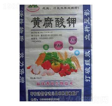 �S�����-���r�ʘI(y��)