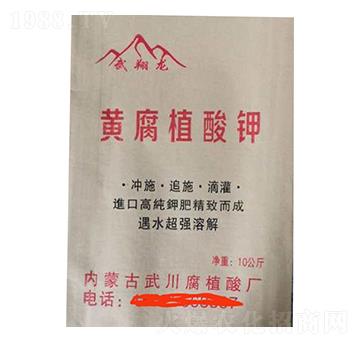 �S��ֲ���-������-���r�ʘI(y��)