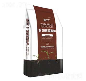 �VԴ�S�����-����ʘI(y��)