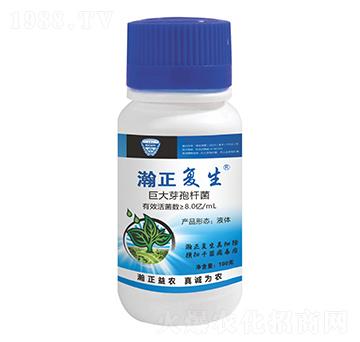 8.0�|/mL�޴�ѿ�ߗU��Һ�w-�������-������r