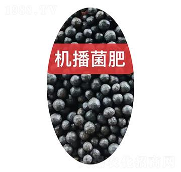 �C�������w��-���r