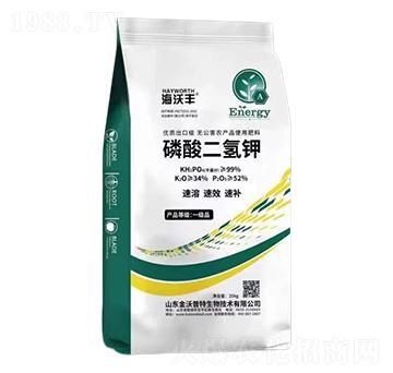 ��������-�����S-��������