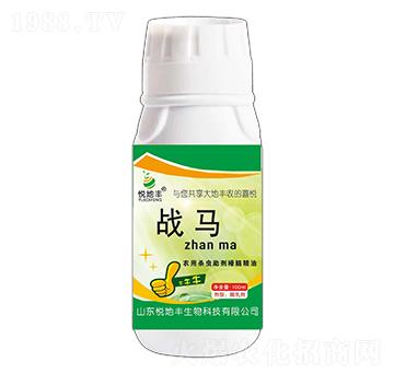 �r�Ú��x�������X����-��(zh��n)�R-�����S