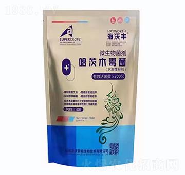 ����ľù����΢�������-�����S-�����_����