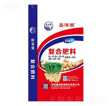 �������(f��)�Ϸ���20-10-10-�����-�ζ�ͥ���ʘI(y��)