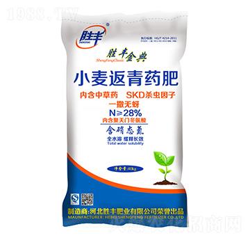 С������ˎ��-���S���-���S�ʘI(y��)