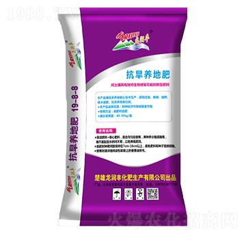 �����B(y��ng)�ط�19-8-8-����(r��n)�S