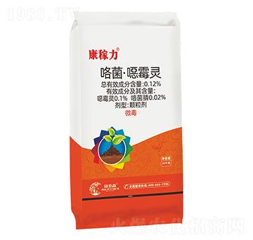 ���������ڲ���-������-����ɭ