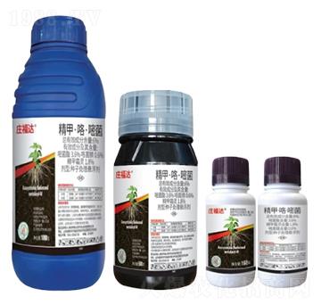 6%���ס������׾��N��̎��Ҹ�����FS��-�f���_-�л�����ƌW