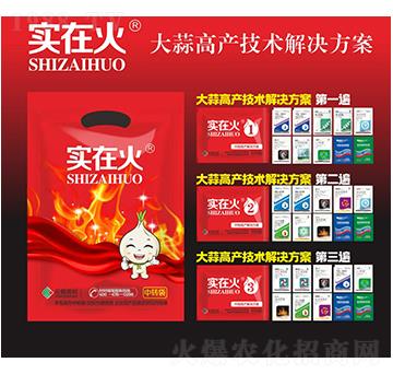 大蒜高產(chǎn)技術(shù)解決方案-實(shí)在火-紅太陽
