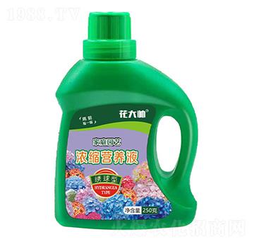 繡球型家庭園藝濃縮營養(yǎng)液-花大帥-綠沃肥業(yè)