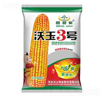 沃玉3號(hào)-玉米種子-沃土種業(yè)