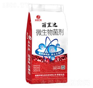 微生物菌劑-菌直達(dá)-福建護(hù)稼