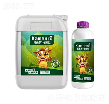 ������-�����_