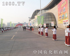 �ഺ���P(y��ng)������o��