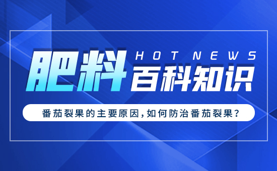 �����ѹ�����Ҫԭ������η��η����ѹ���