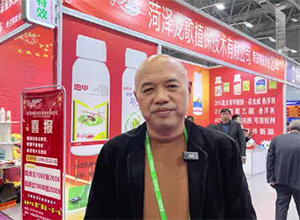 【龍歌植?！孔Ｔ复蠹荫R年大吉、龍馬精神！