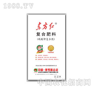 �t�հ���-�|���t14-16-15