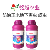 �Ϻ��Խ�r(n��ng)�I(y��)�Ƽ����޹�˾