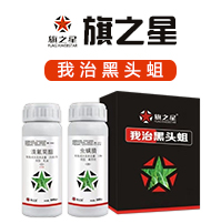 ������֮������Ƽ����޹�˾